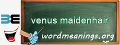 WordMeaning blackboard for venus maidenhair